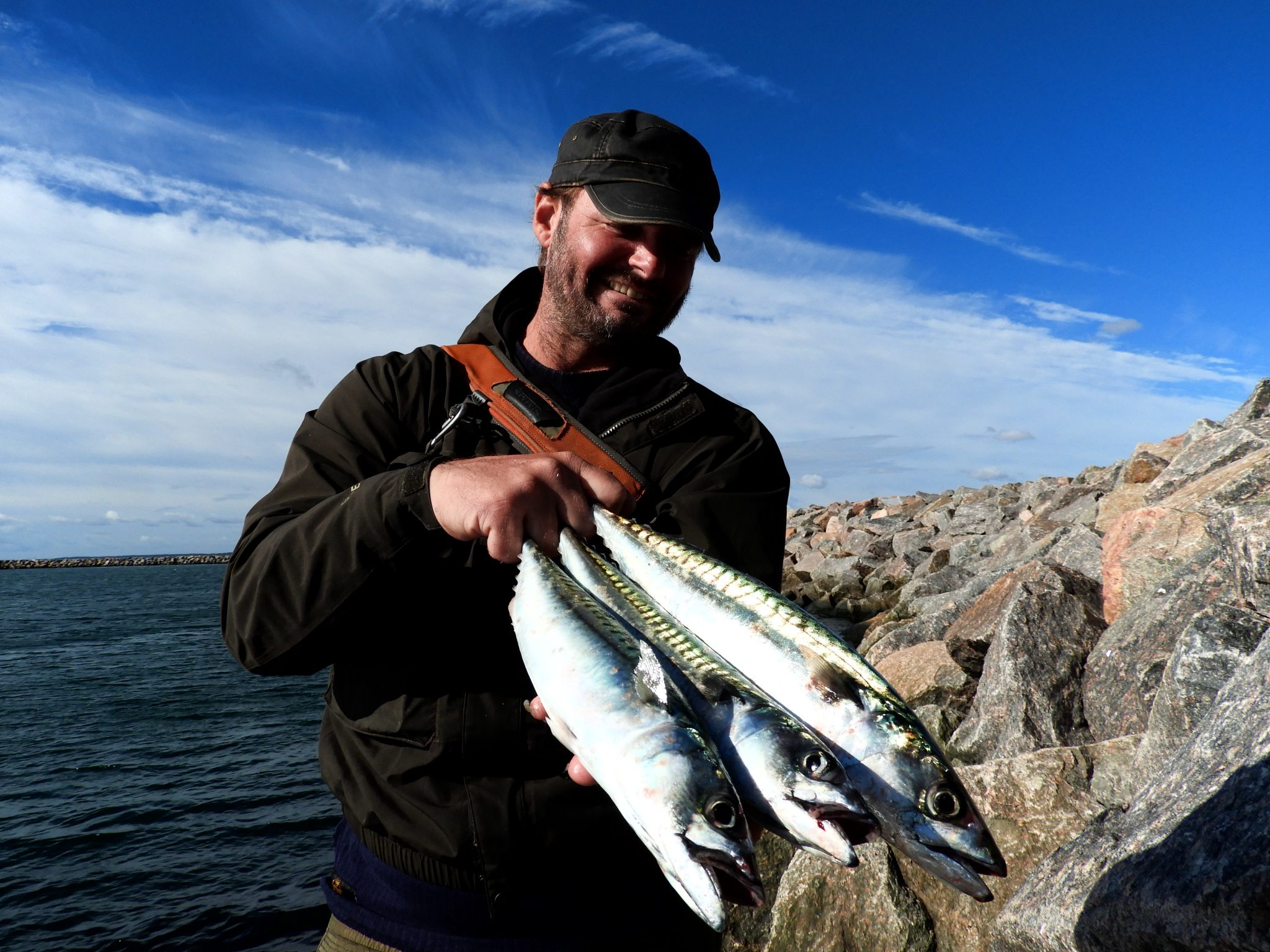Lystfiskeri makrel Lystfiskeri i Frederikshavn og